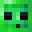 Shrimpywastaken's head
