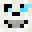_Didit's head