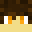 WolfpackCraftYT's head