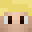 thecrocraft's head