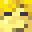 NotAdam1's head