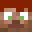 AmateurFox's head