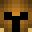 SfachtisNoobadon's head
