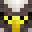 itzmeUnknownb's head