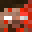 ttwsx's head