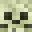 CoolSpiderCJ's head