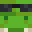ItzKroko's head