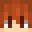 Tochno_Ne_Kit's head