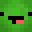 Mr_Turtle111's head