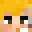 Salix's head