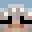 trazss's head