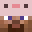 Sprinker's head