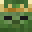 Wildixh's head