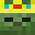 Dywan__'s head