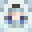 Noob_Bless's head
