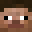 pigtoss's head
