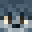 Jounesdrs_'s head