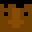 bebraua773's head