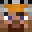 Plingo_o's head