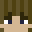 ZaneMCYT's head