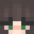Turtlee17's head