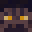 Dusty_Trim69's head