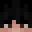 koncowka's head