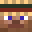 x516's head