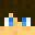 ErrorOfRedstone's head