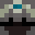 Lfu1's head