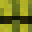 melon069's head