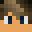 vsnx's head