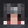 Verzar's head