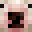 Bullteriar's head