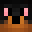 Shaundonwon's head