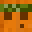 faarex_xx's head