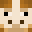 LoserLlama's head
