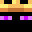 EnderKing19283's head