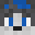 Daniel242545's head