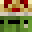 Bin_ein_Kaktus's head