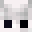 Paraguays's head