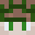 ANNUITIES's head