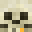 hypixelgod1111's head