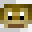 spaceflowermc's head