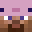 wy3tt_'s head