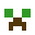 ROEBANGGG's head