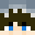 qhyoko's head