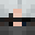 poldograp's head