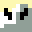 Hunterthegoatlol's head