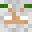 Zeqra's head